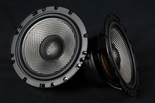 Subwoofers 12"